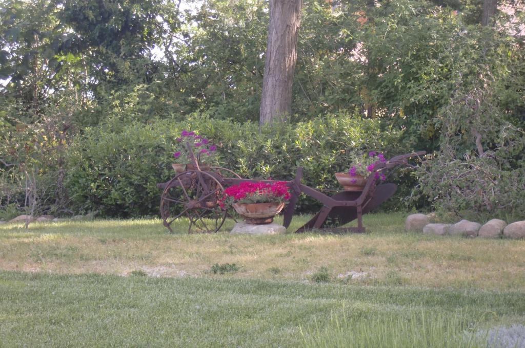 Santa Paola I Quattro Passeri Country House الغرفة الصورة